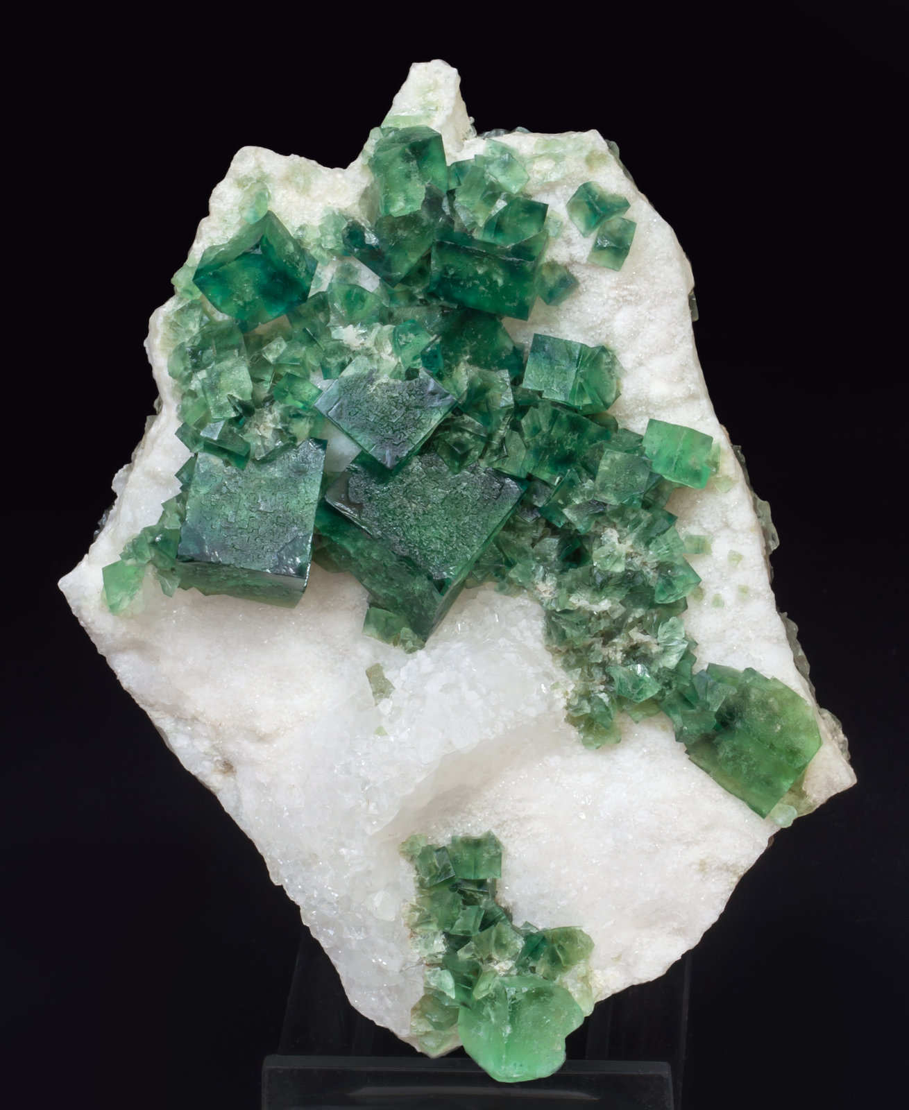specimens/s_imagesAI7/Fluorite-EF46AI7f.jpg