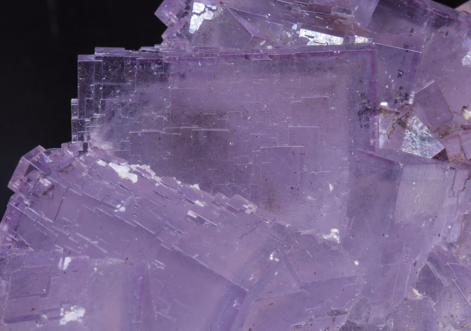 specimens/s_imagesAI7/Fluorite-EJ70AI7d.jpg
