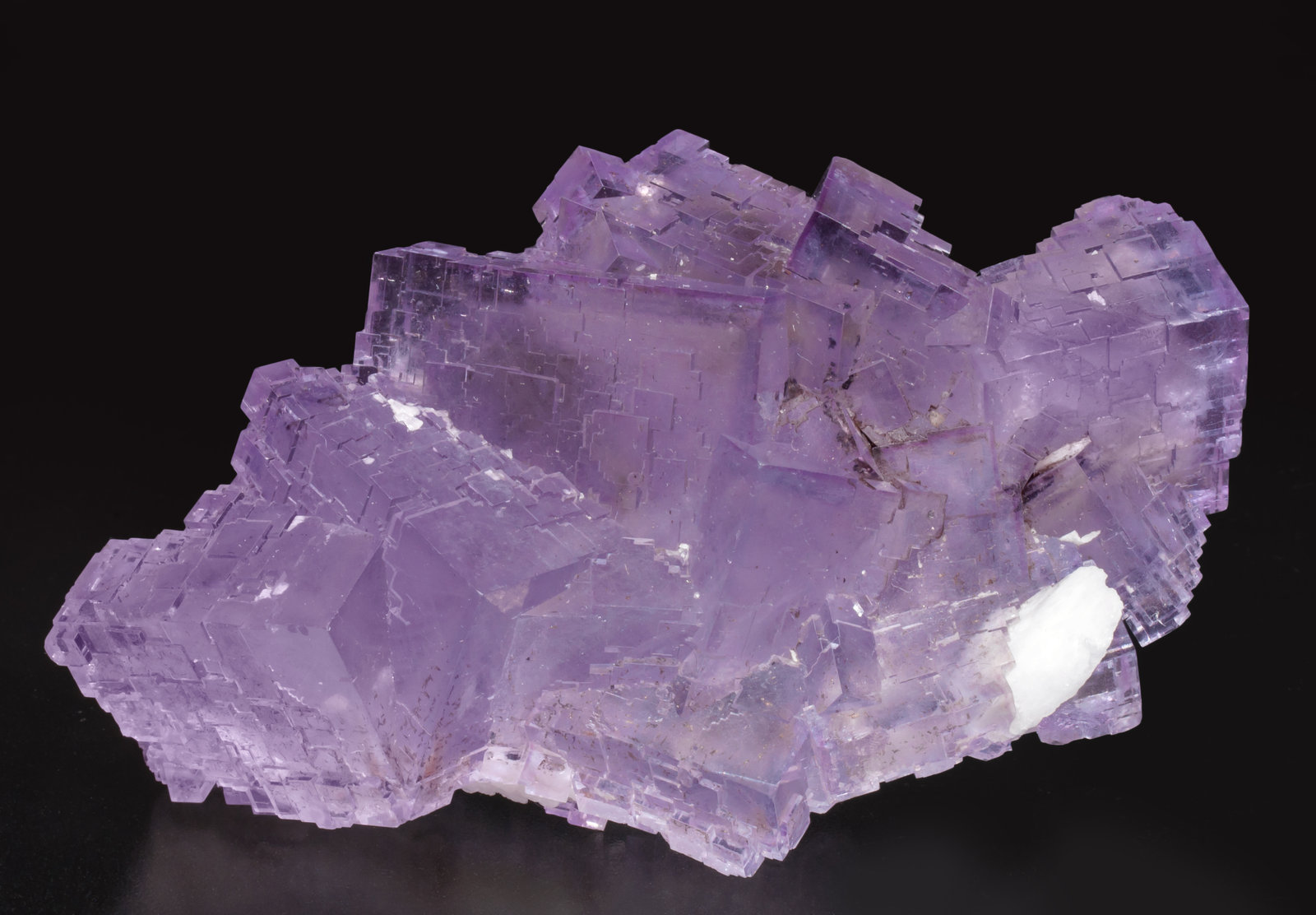 specimens/s_imagesAI7/Fluorite-EJ70AI7f.jpg