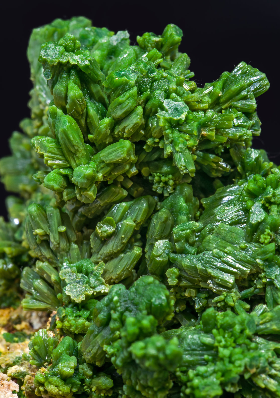 specimens/s_imagesAI7/Pyromorphite-EF52AI7d.jpg
