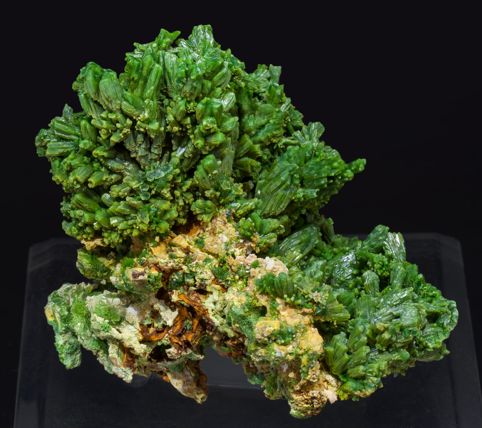 specimens/s_imagesAI7/Pyromorphite-EF52AI7f.jpg
