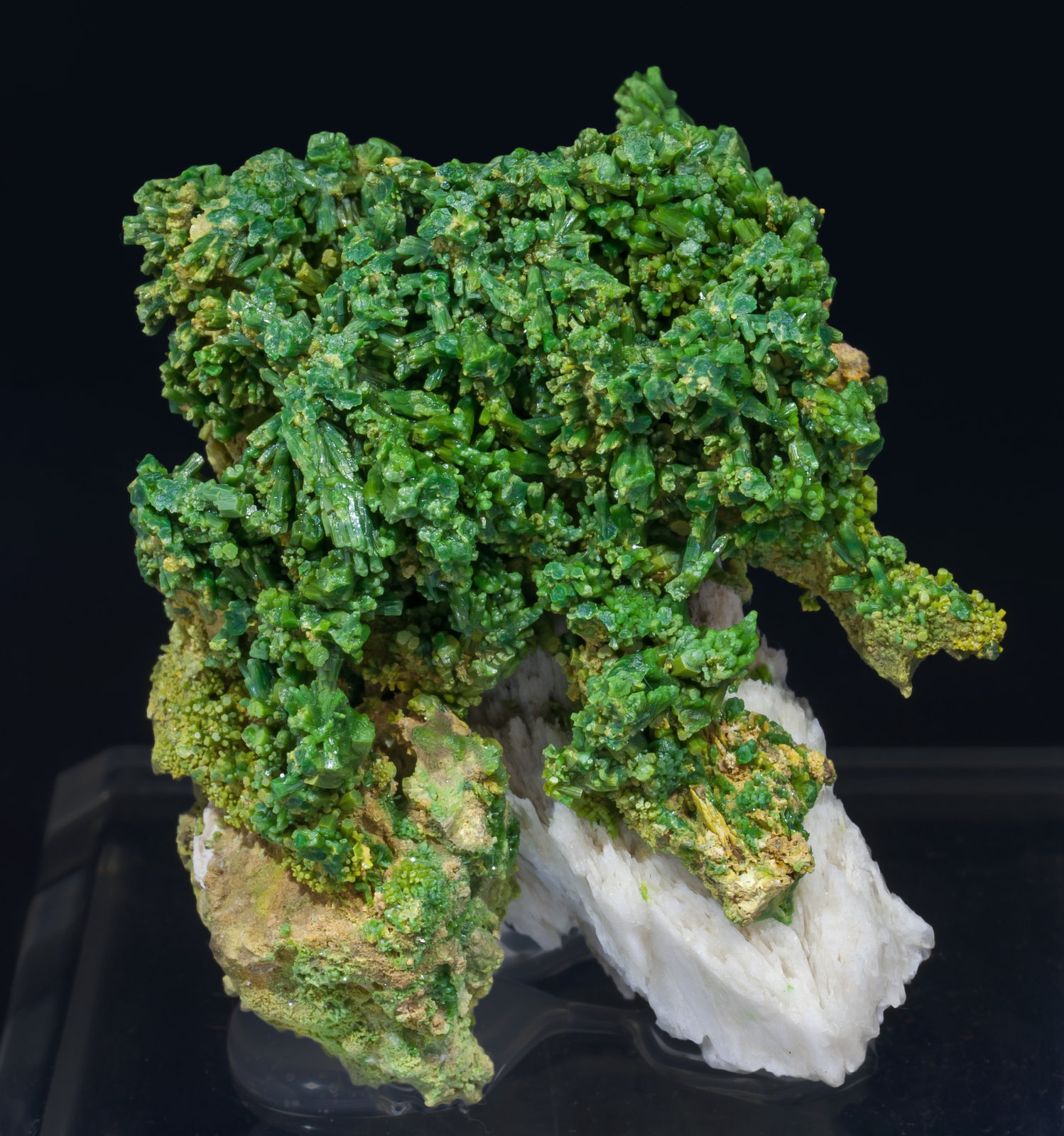 specimens/s_imagesAI7/Pyromorphite-EG9AI7f.jpg