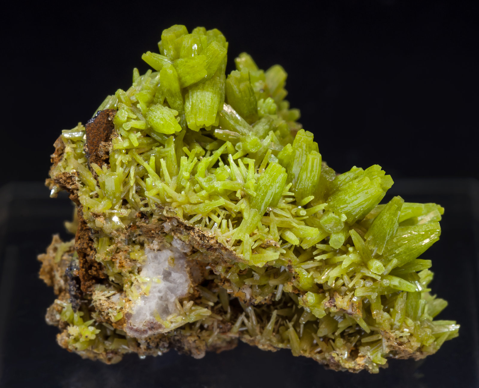 specimens/s_imagesAI7/Pyromorphite-TM99AI7s.jpg
