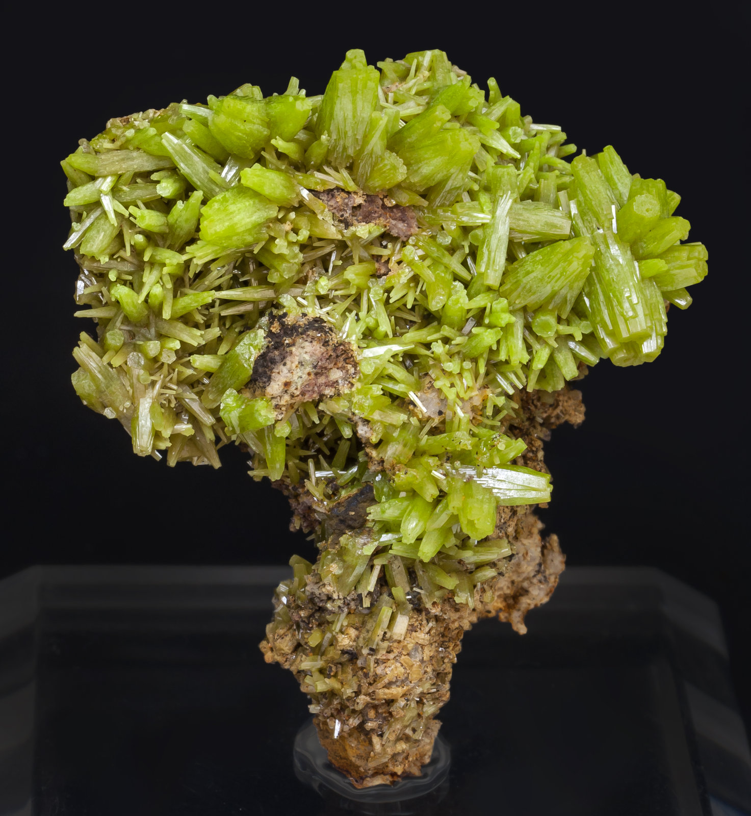 specimens/s_imagesAI7/Pyromorphite-TM99AI7s2.jpg