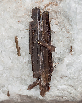 Allanite-(Ce) with Hydroxylbastn�site-(Ce) and Dolomite. 