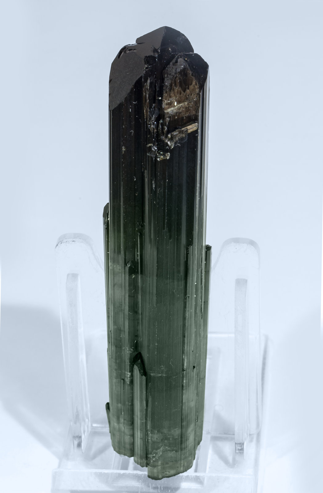 specimens/s_imagesAI8/Elbaite-MT54AI8r.jpg