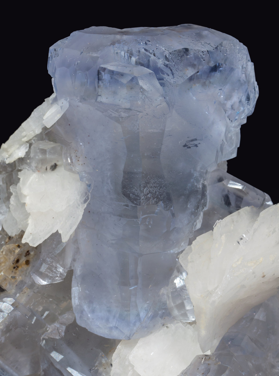 specimens/s_imagesAI8/Fluorite-EG89AI8d.jpg