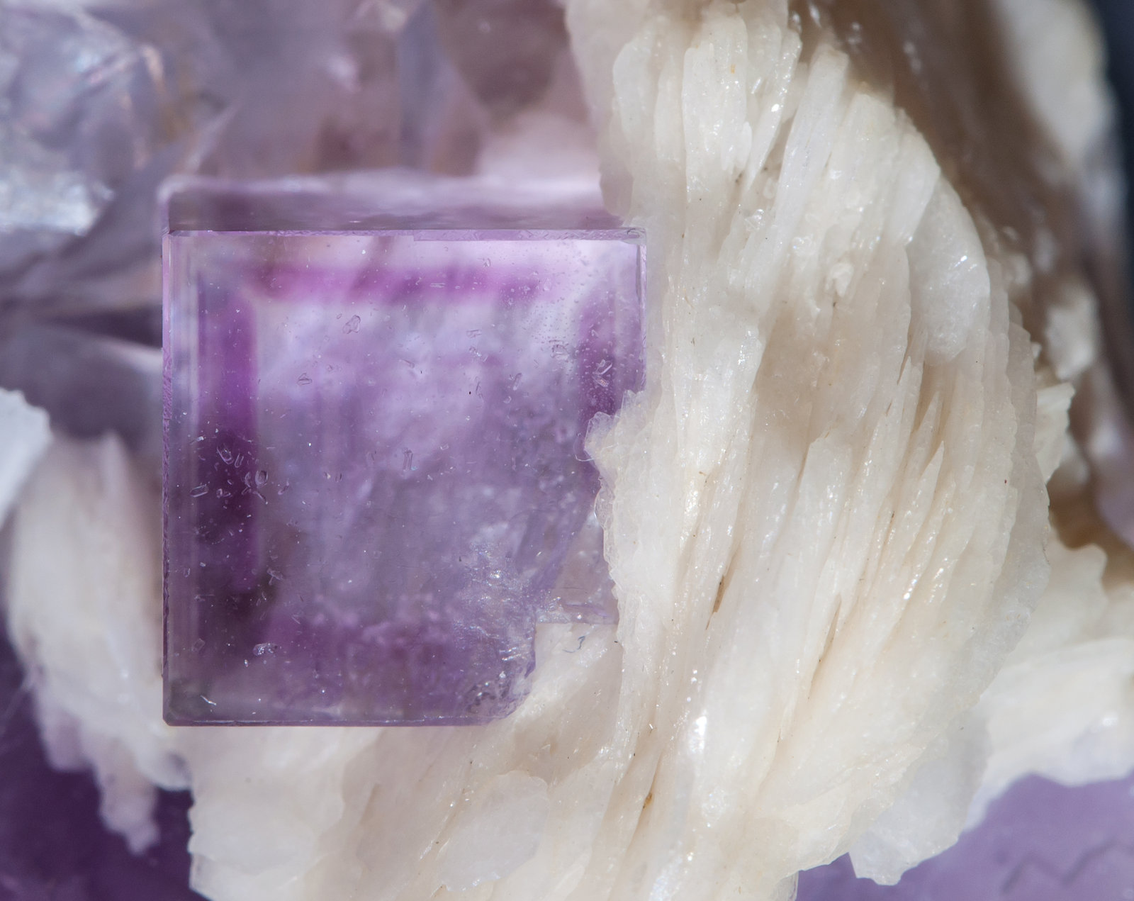 specimens/s_imagesAI8/Fluorite-EH56AI8d1.jpg