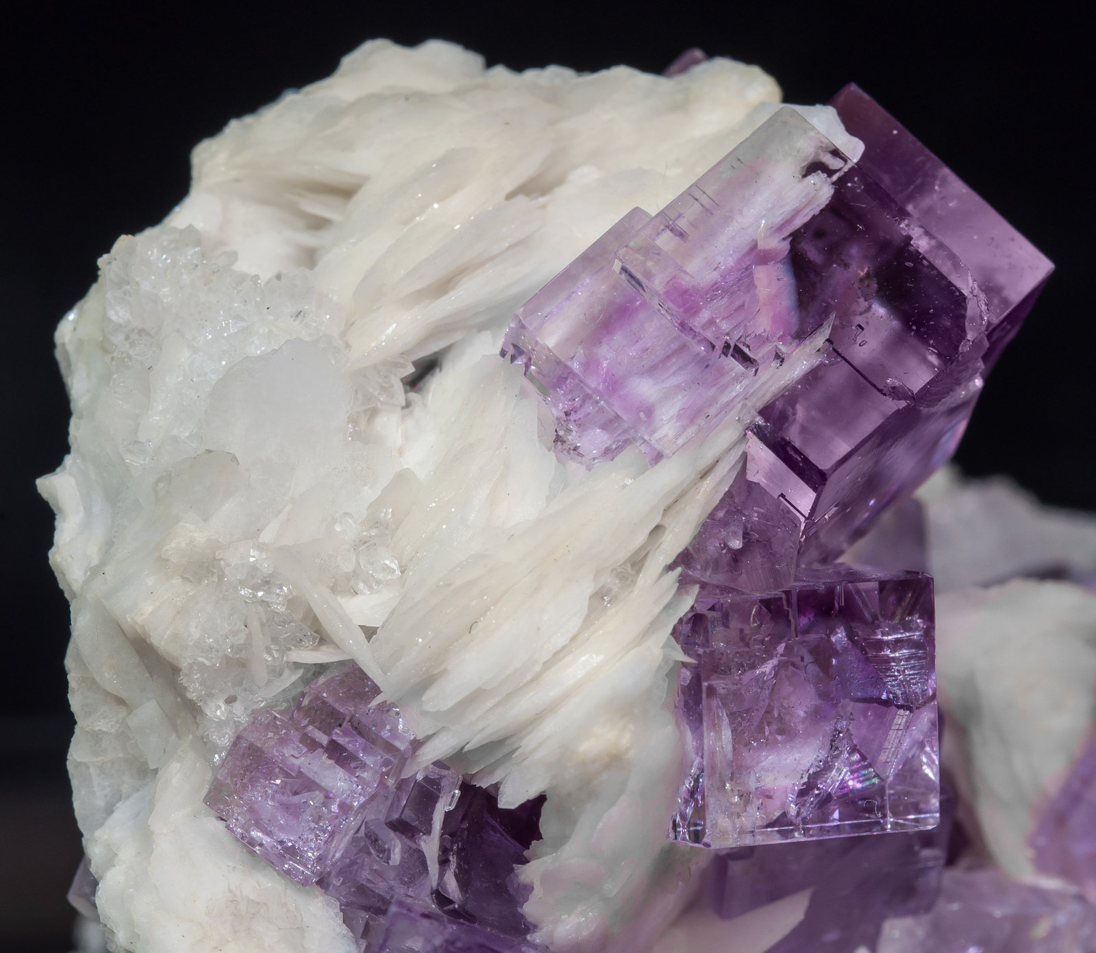 specimens/s_imagesAI8/Fluorite-EH56AI8d2.jpg