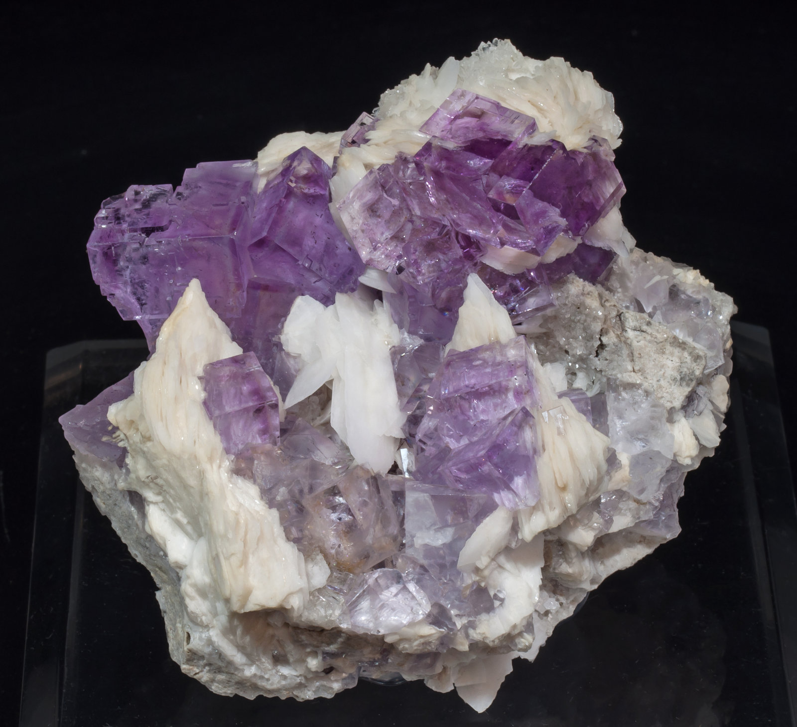 specimens/s_imagesAI8/Fluorite-EH56AI8f.jpg