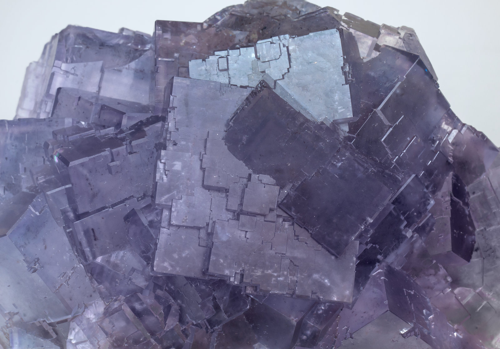 specimens/s_imagesAI8/Fluorite-EP52AI8d.jpg