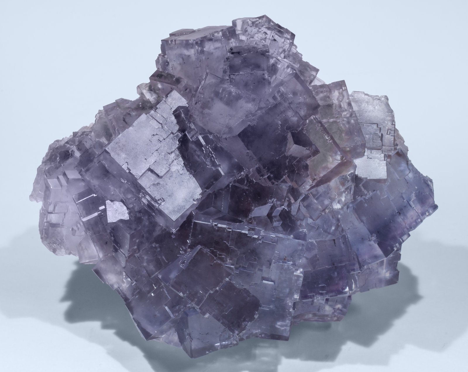 specimens/s_imagesAI8/Fluorite-EP52AI8f.jpg