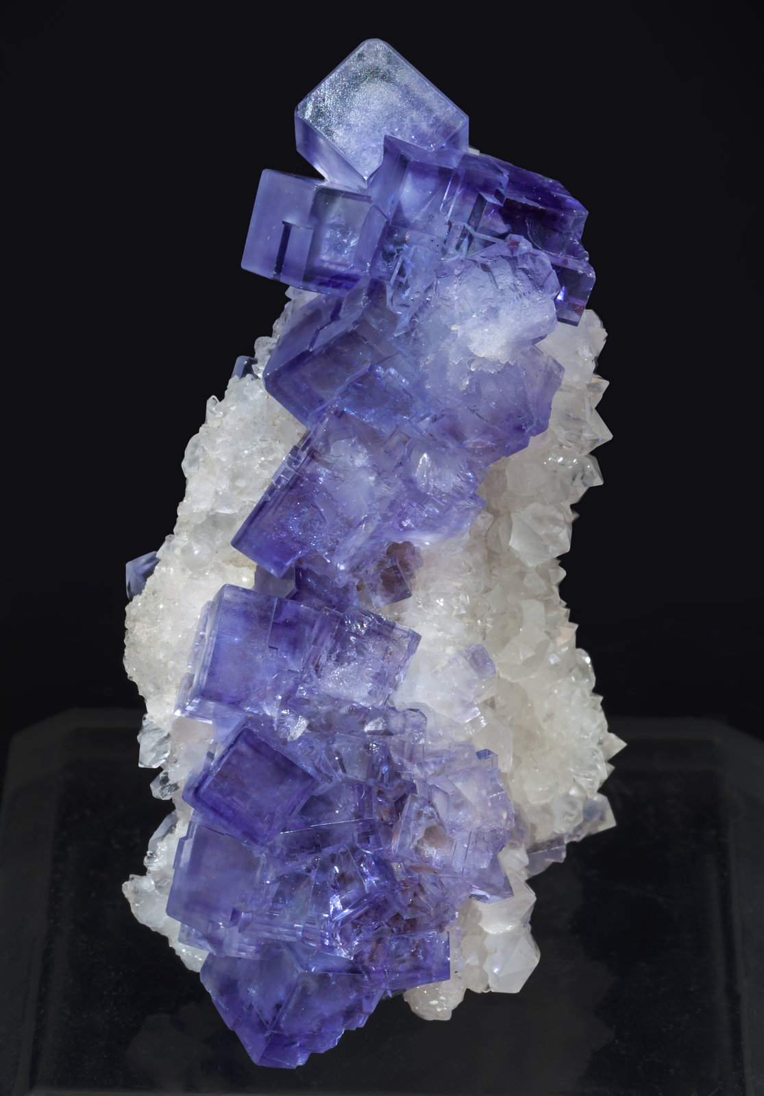 specimens/s_imagesAI8/Fluorite-NE6AI8f.jpg