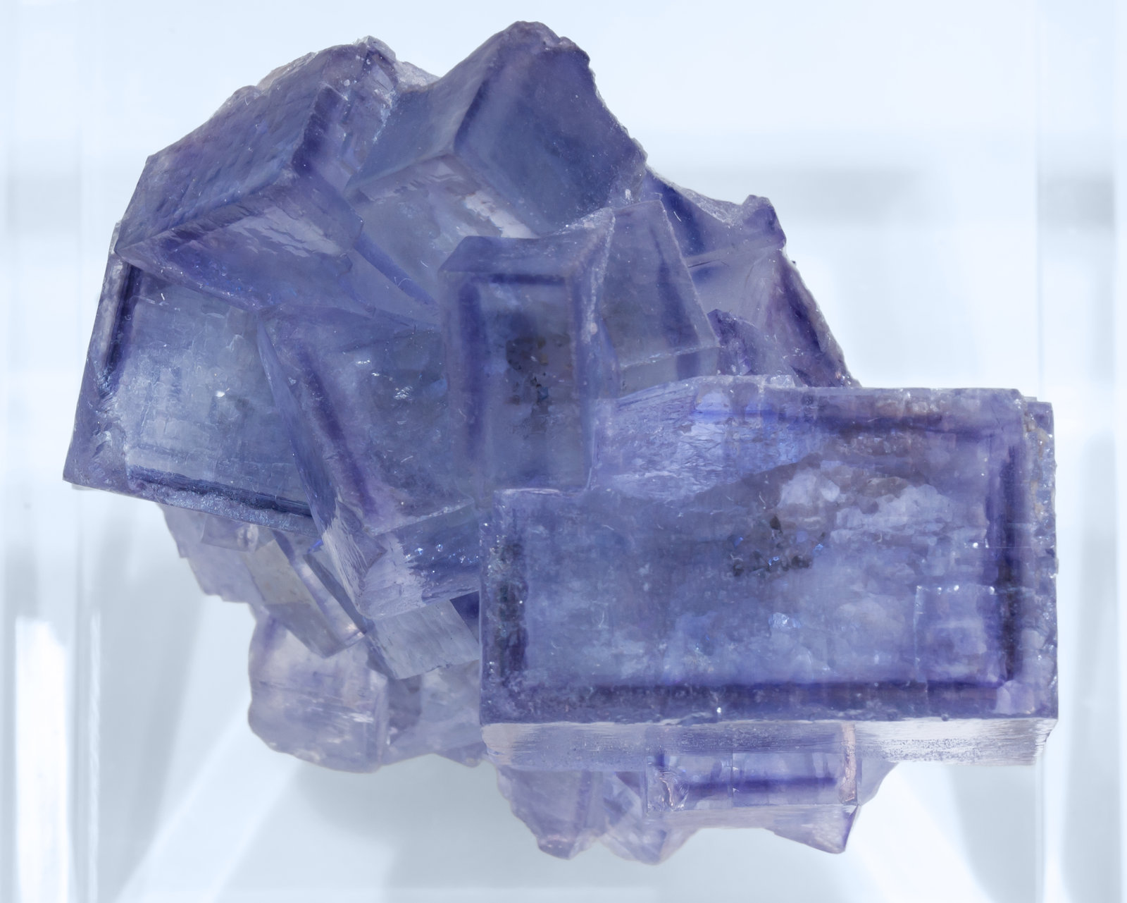 specimens/s_imagesAI8/Fluorite-NH17AI8t.jpg