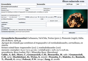 Grossular (variety hessonite) with Chlorite