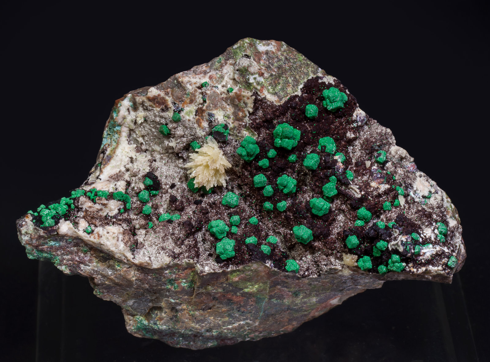 specimens/s_imagesAI8/Malachite-MT93AI8f.jpg