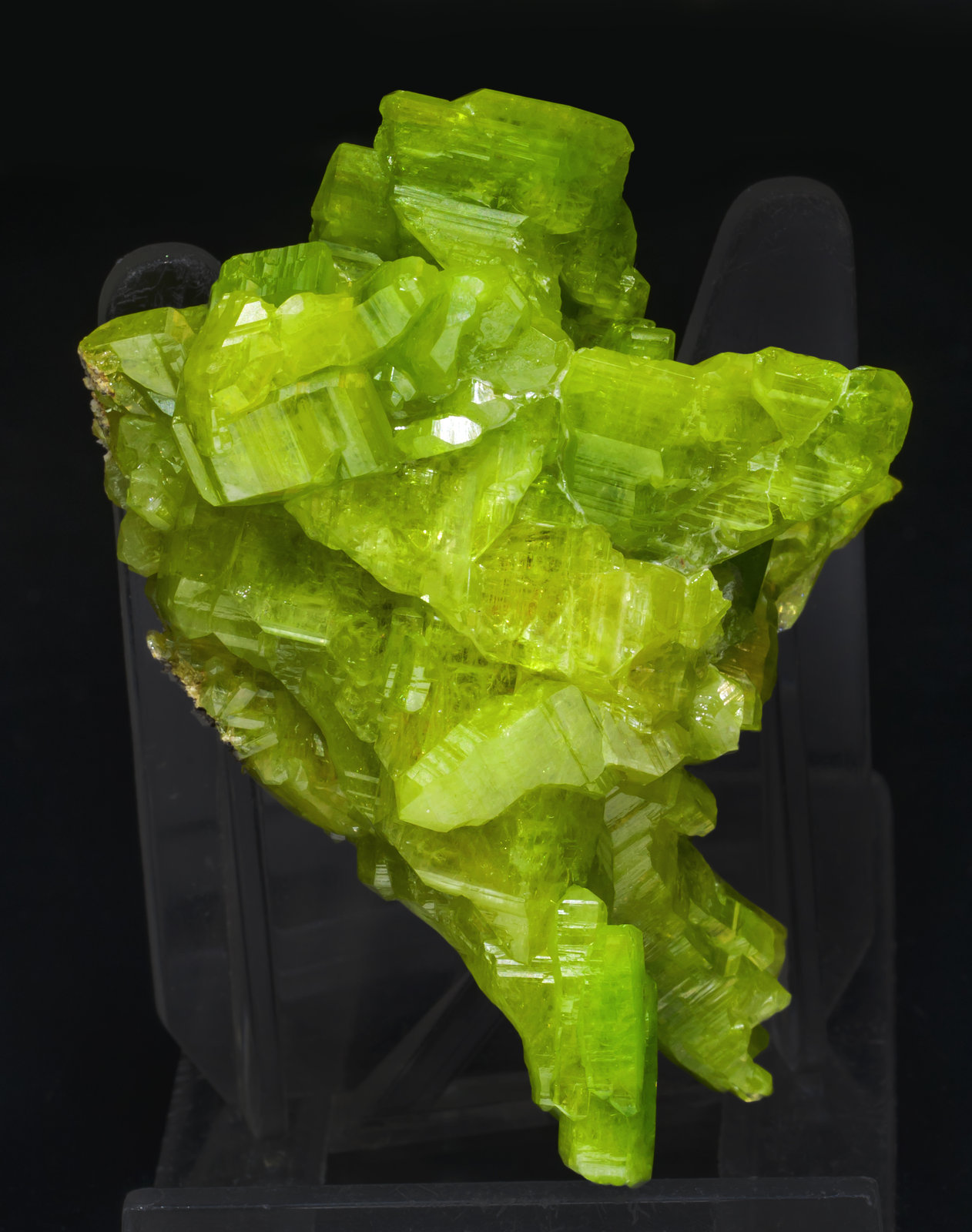 specimens/s_imagesAI8/Pyromorphite-EQ3AI8f.jpg
