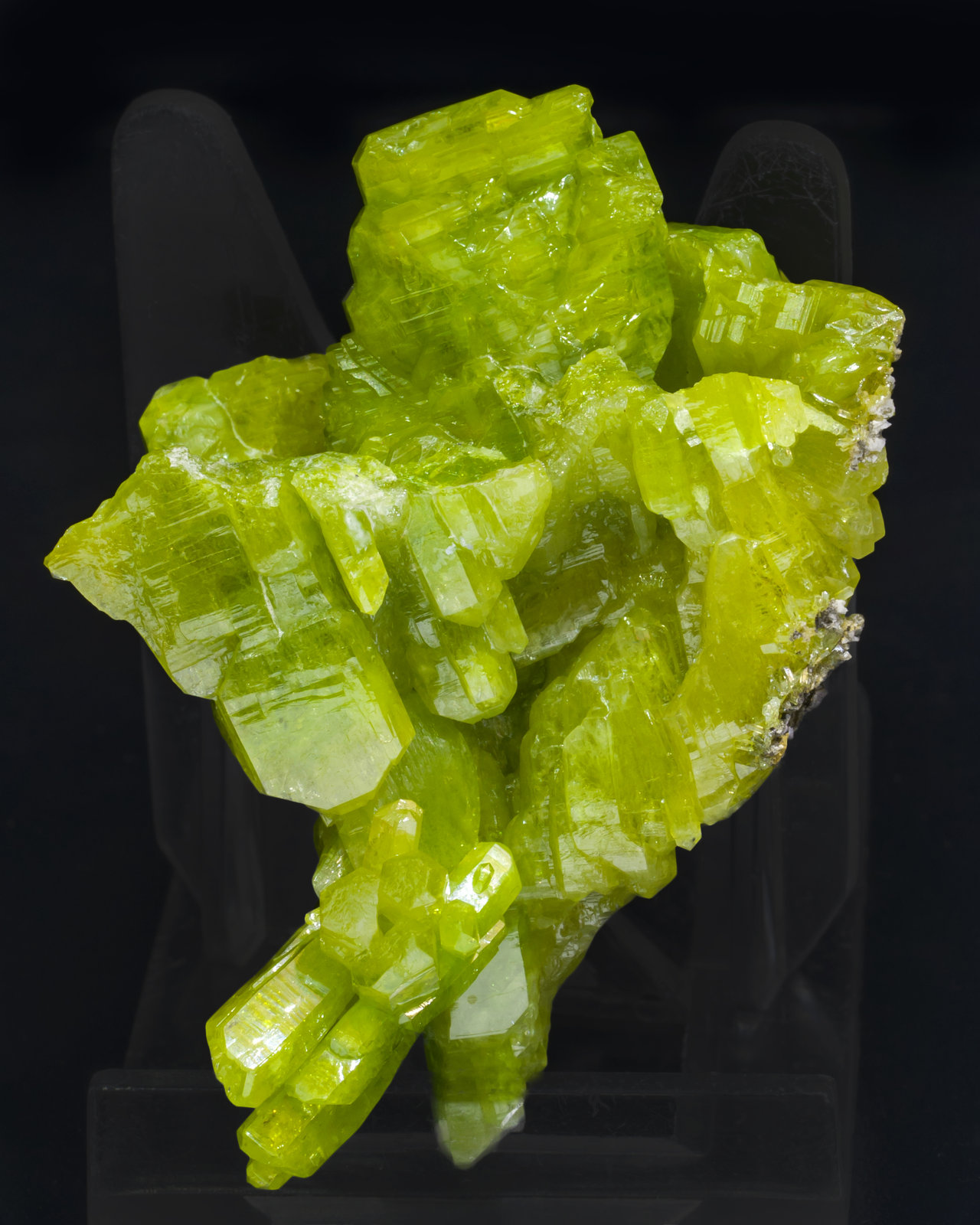 specimens/s_imagesAI8/Pyromorphite-EQ3AI8r.jpg
