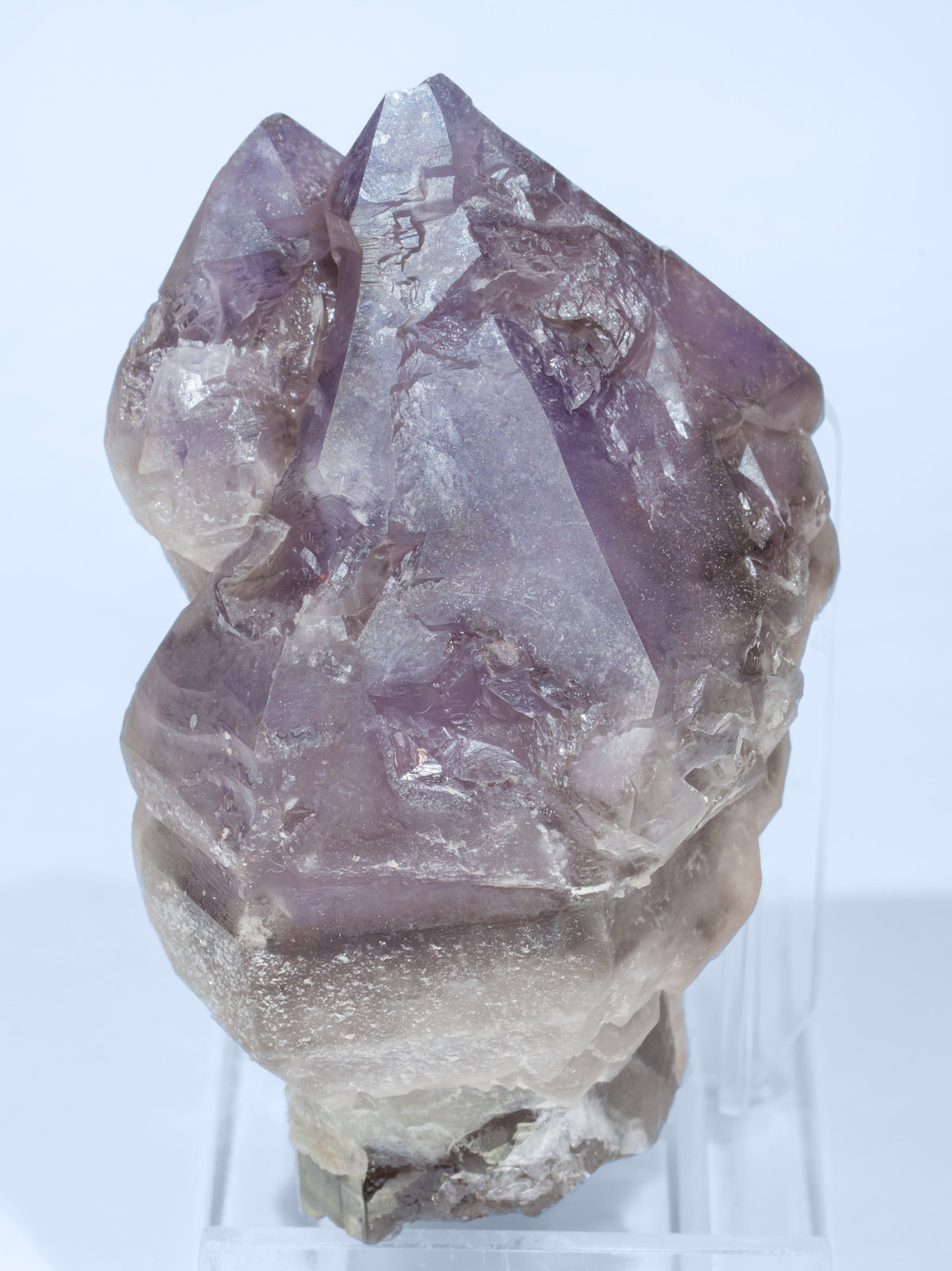 specimens/s_imagesAI8/Quartz_amethyst-DR96AI8f.jpg