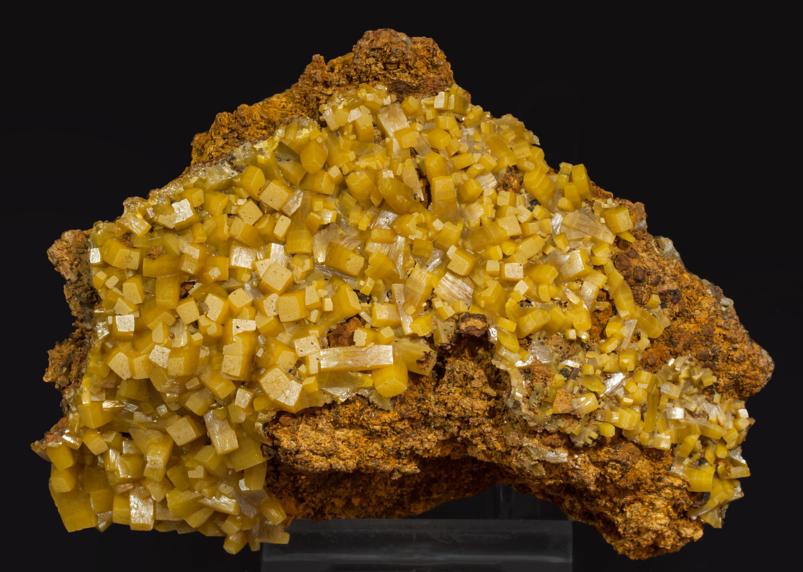 specimens/s_imagesAI8/Wulfenite-MY96AI8f.jpg