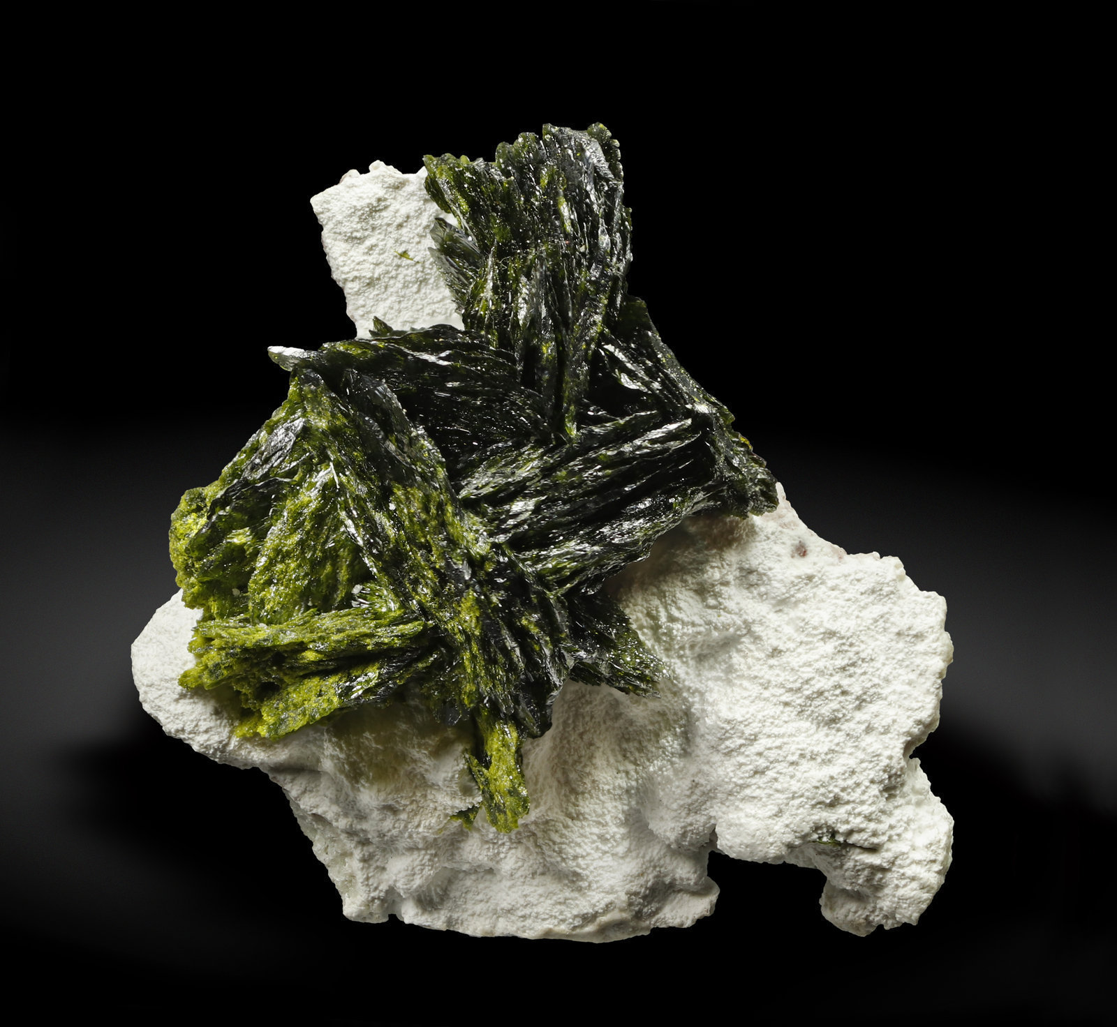 specimens/s_imagesAI9/Volborthite-EK57AI9_6254_f.jpg