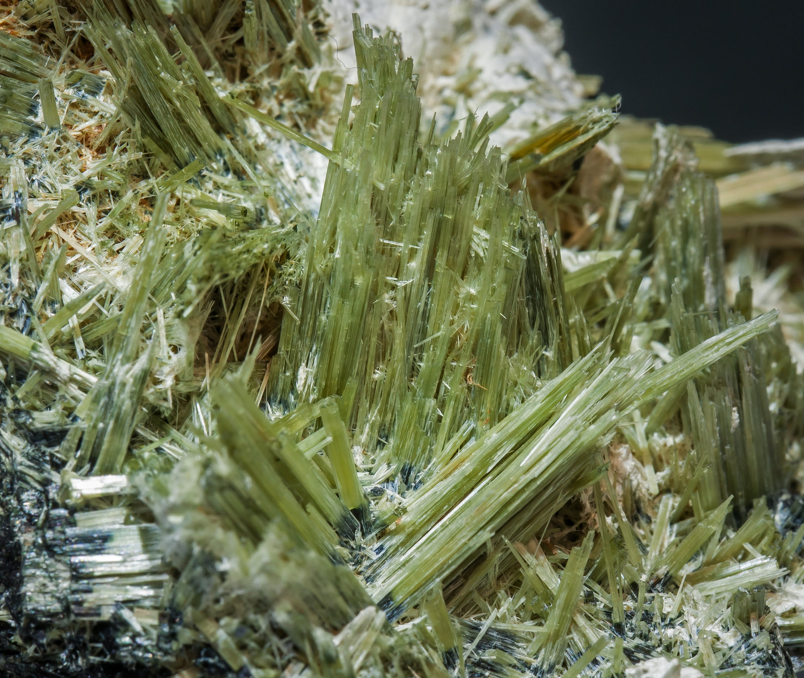 specimens/s_imagesAJ0/Actinolite-EC14AJ0d.jpg