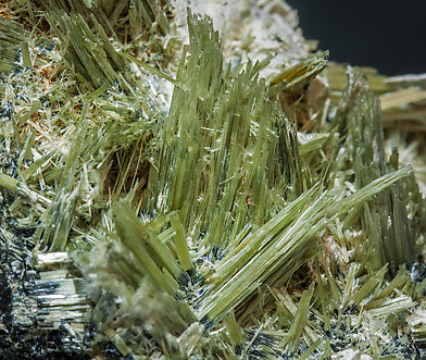 Actinolite with Ferro-actinolite and Prehnite. 