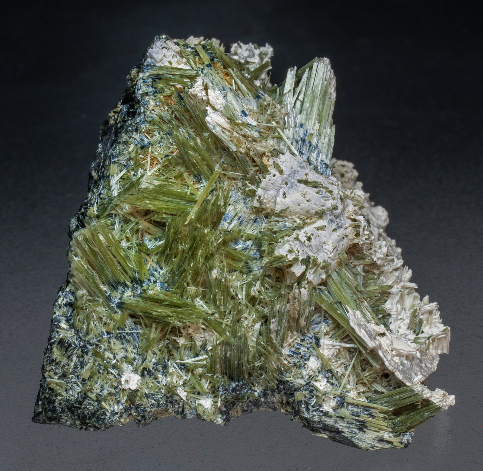 specimens/s_imagesAJ0/Actinolite-EC14AJ0f.jpg