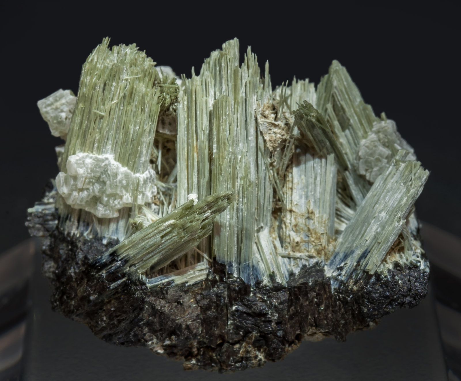 specimens/s_imagesAJ0/Actinolite-EQ9AJ0f.jpg