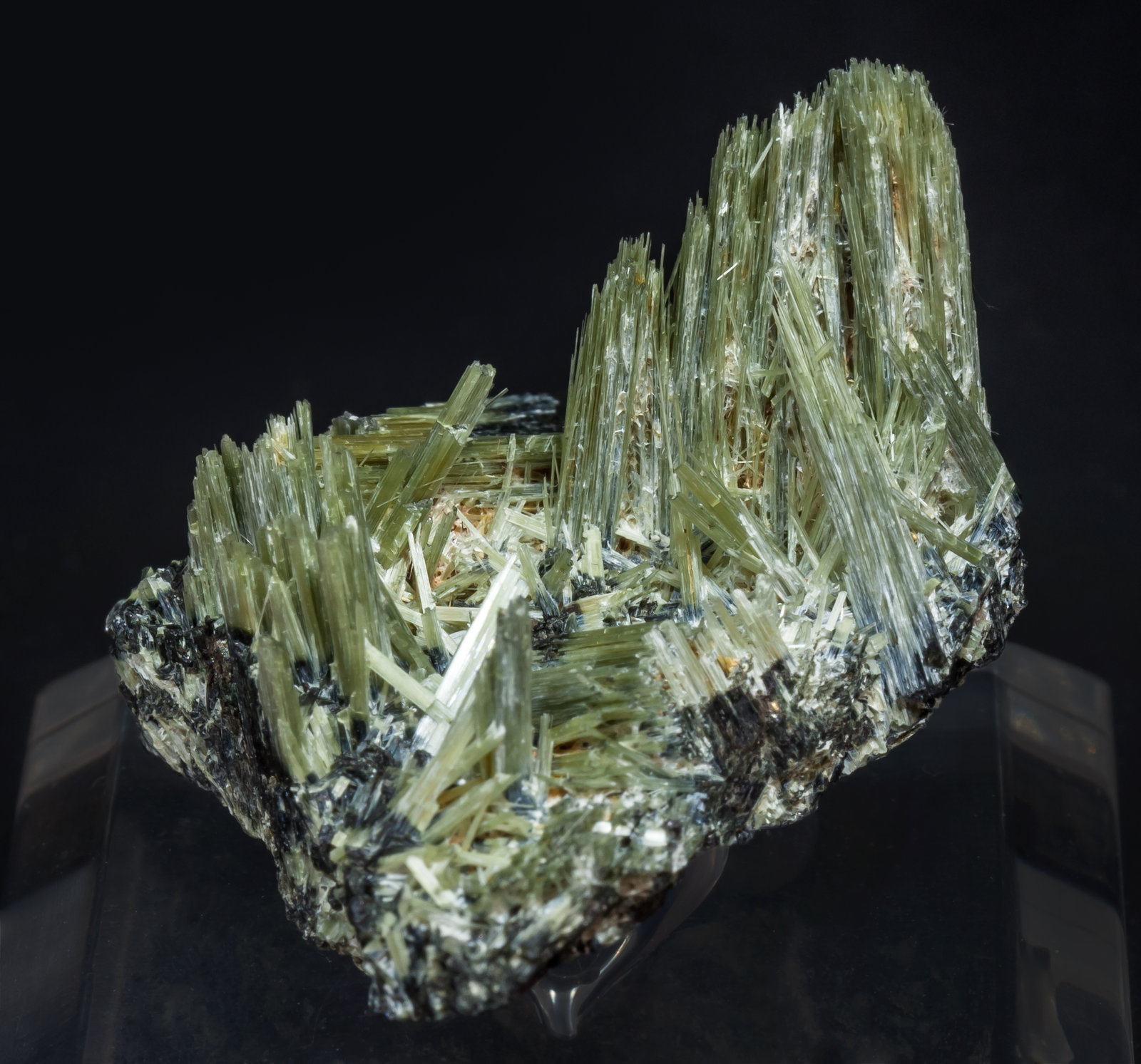 specimens/s_imagesAJ0/Actinolite-EX11AJ0f.jpg