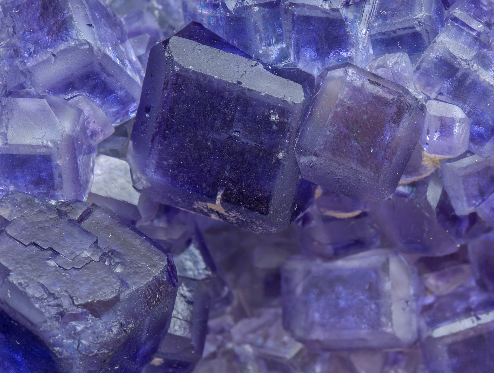 specimens/s_imagesAJ0/Fluorite-NJ86AJ0d.jpg