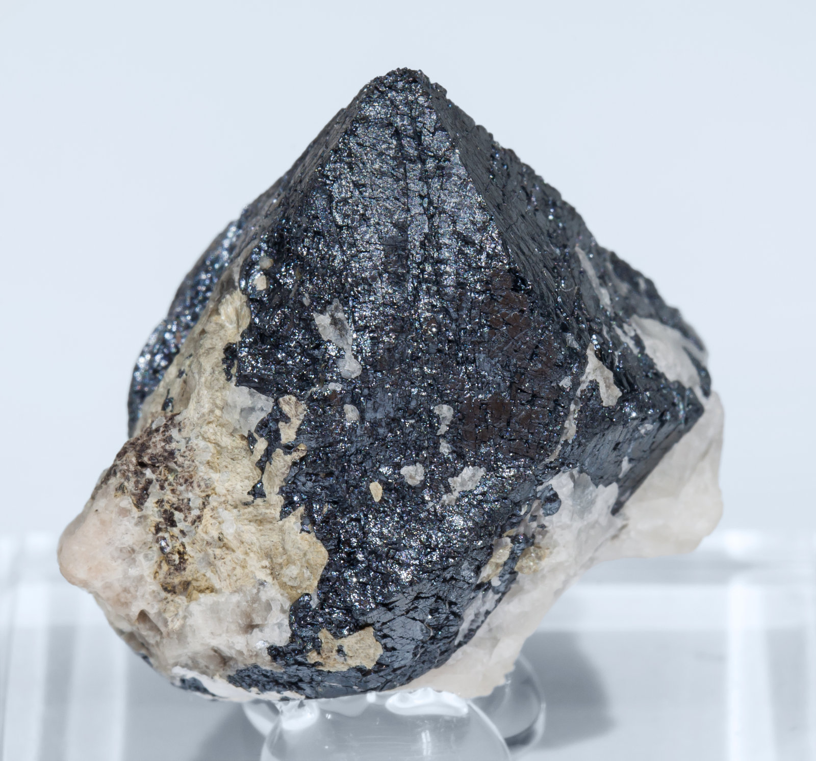 specimens/s_imagesAJ0/Franklinite-CR66AJ0r.jpg