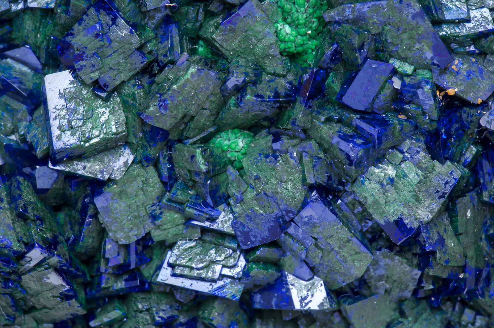 specimens/s_imagesAJ1/Azurite-MX98AJ1d.jpg