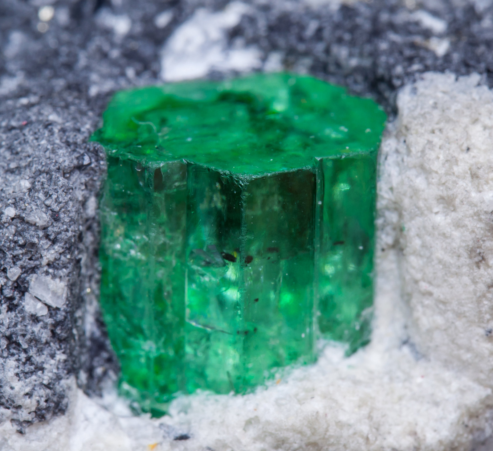 specimens/s_imagesAJ1/Beryl_emerald-MG51AJ1d.jpg