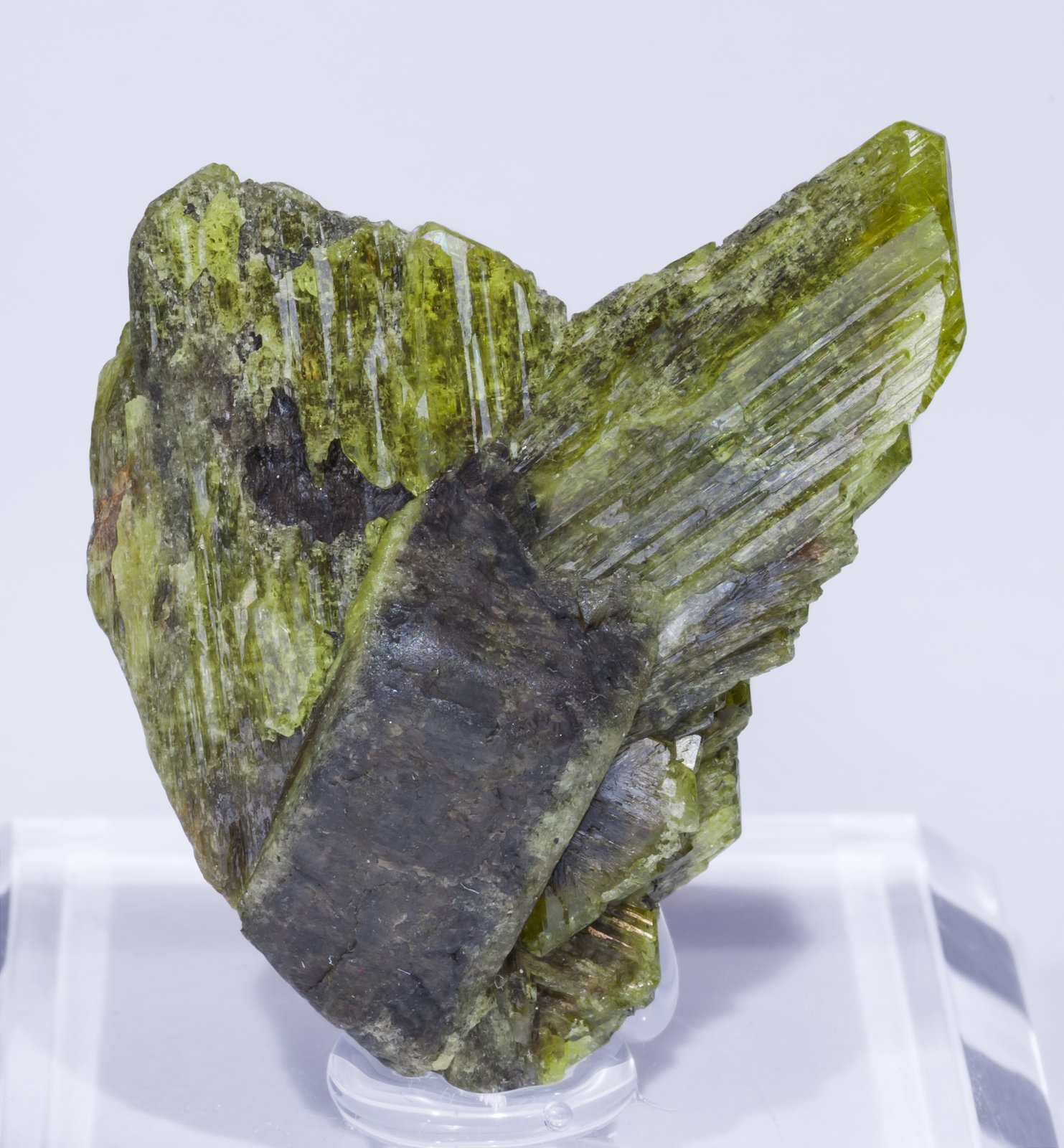 specimens/s_imagesAJ1/Chrysoberyl-MG67AJ1f.jpg