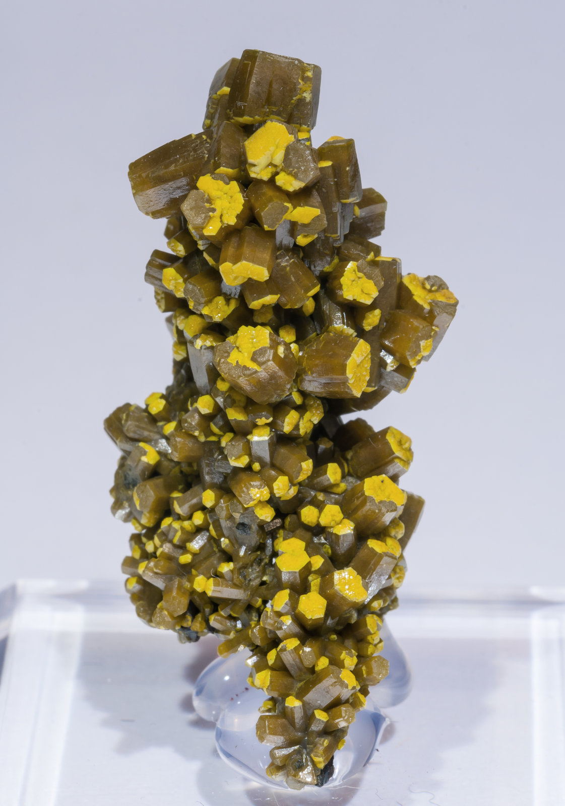 specimens/s_imagesAJ1/Pyromorphite-MH57AJ1f.jpg