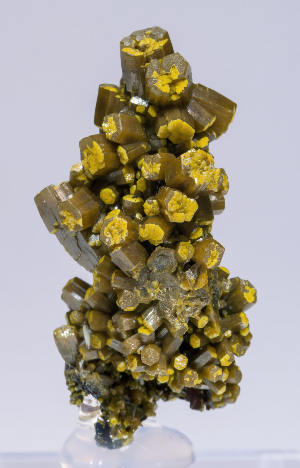 specimens/s_imagesAJ1/Pyromorphite-MH57AJ1r.jpg