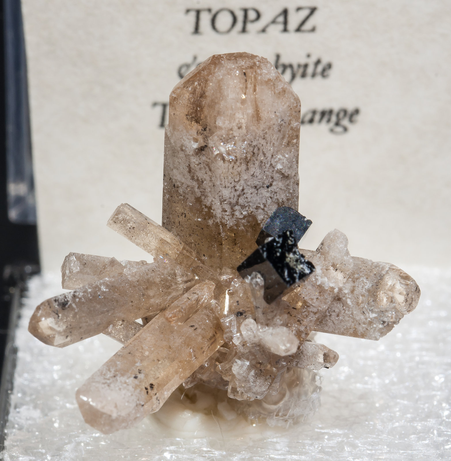 specimens/s_imagesAJ1/Topaz-TE14AJ1f2.jpg
