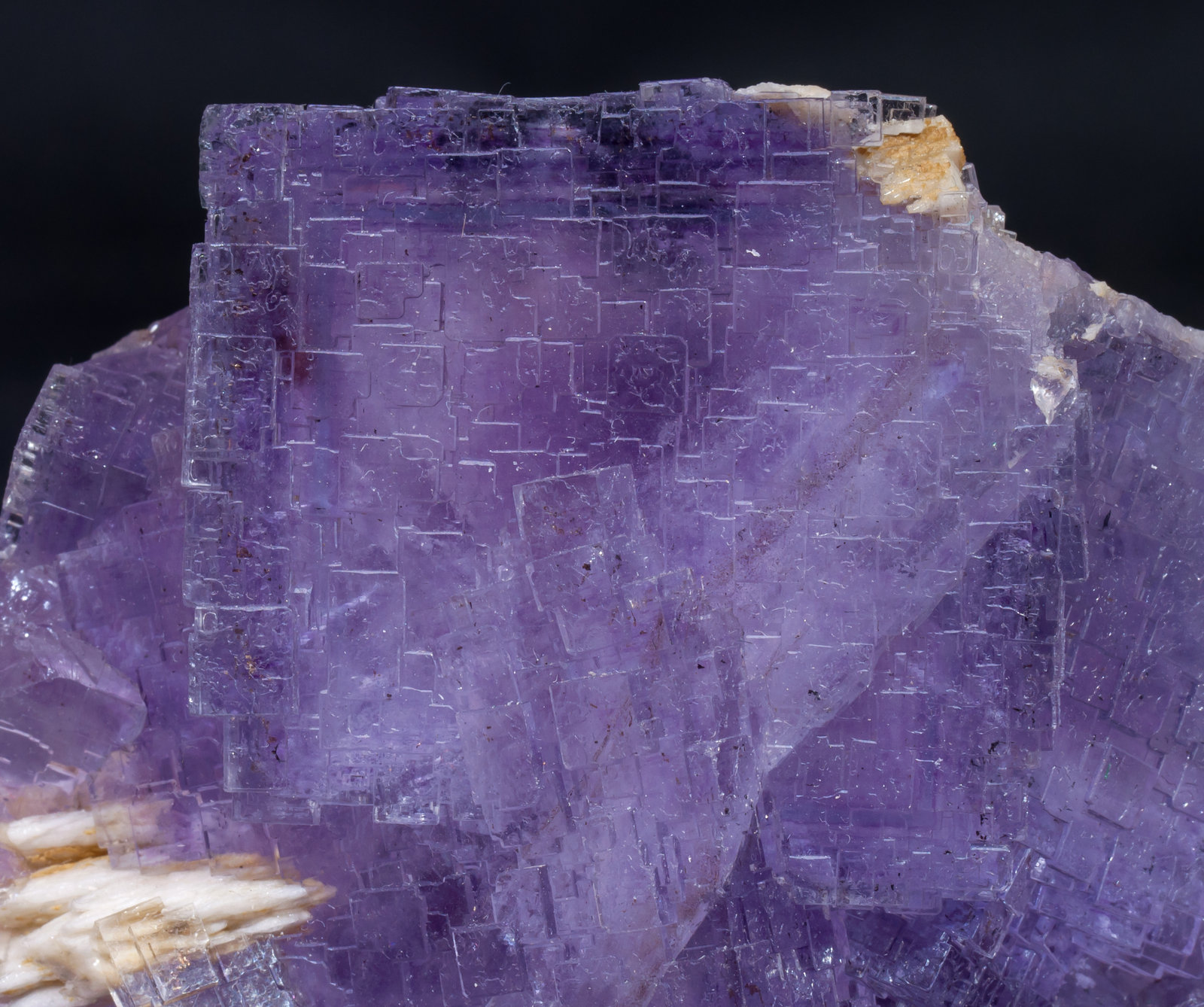 specimens/s_imagesAJ2/Fluorite-EP91AJ2d.jpg