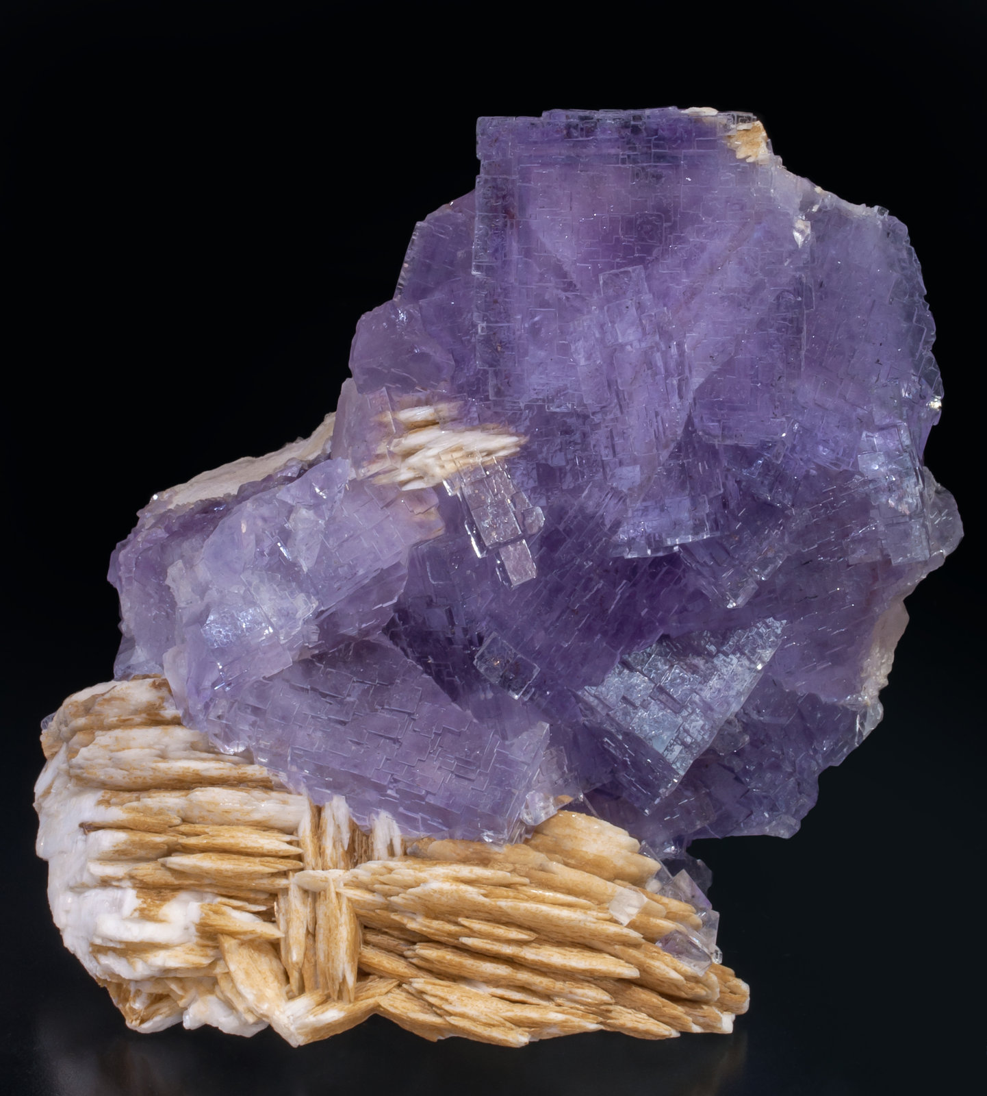 specimens/s_imagesAJ2/Fluorite-EP91AJ2f.jpg