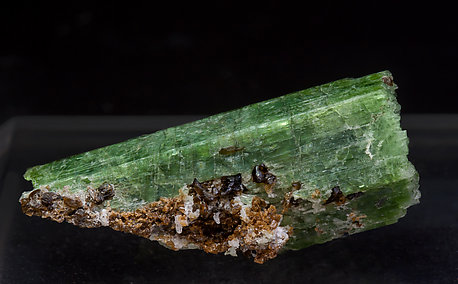 Tremolite (Cr-bearing variety) with Graphite and Clinohumite. Rear