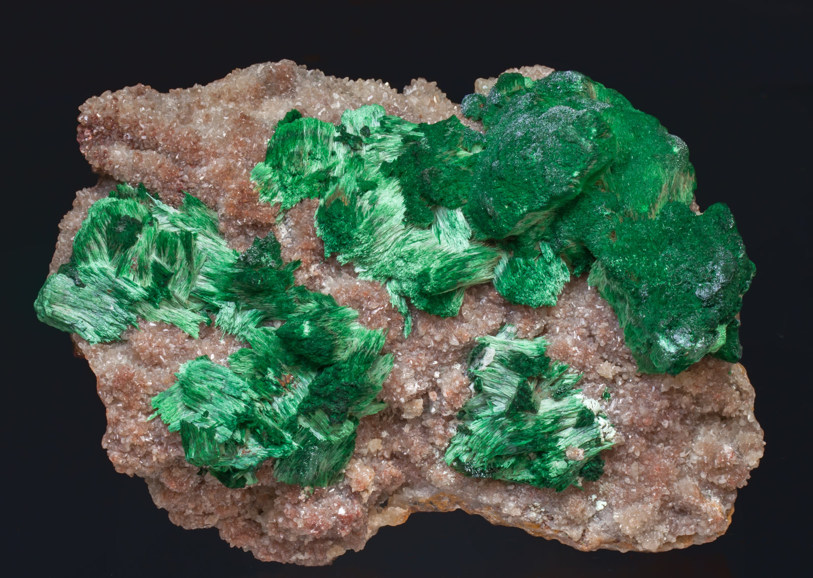 specimens/s_imagesAJ3/Malachite-TD89AJ3f.jpg