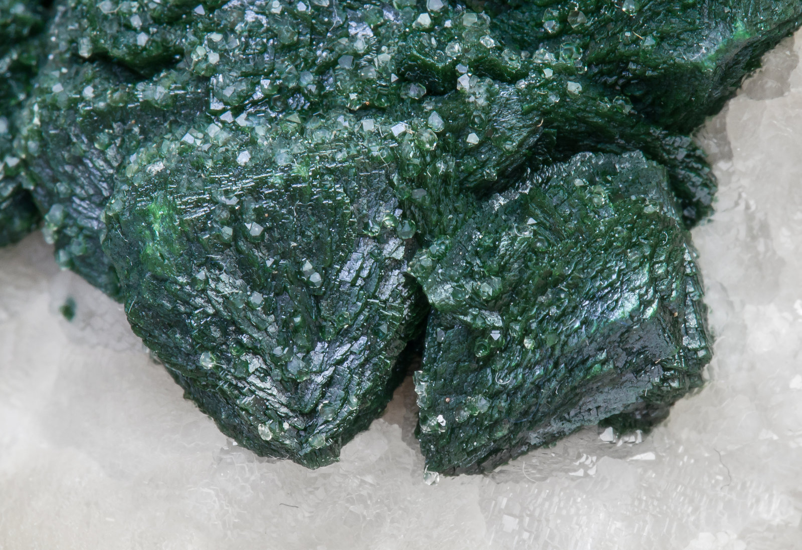 specimens/s_imagesAJ3/Malachite-TR73AJ3d.jpg