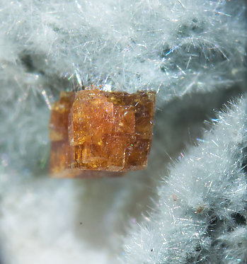 Joaquinite-(Ce) on Neptunite and with Benitoite and Natrolite. 