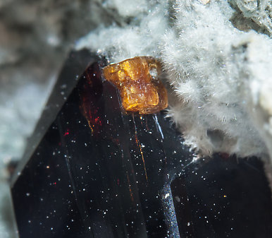 Joaquinite-(Ce) on Neptunite and with Benitoite and Natrolite. 