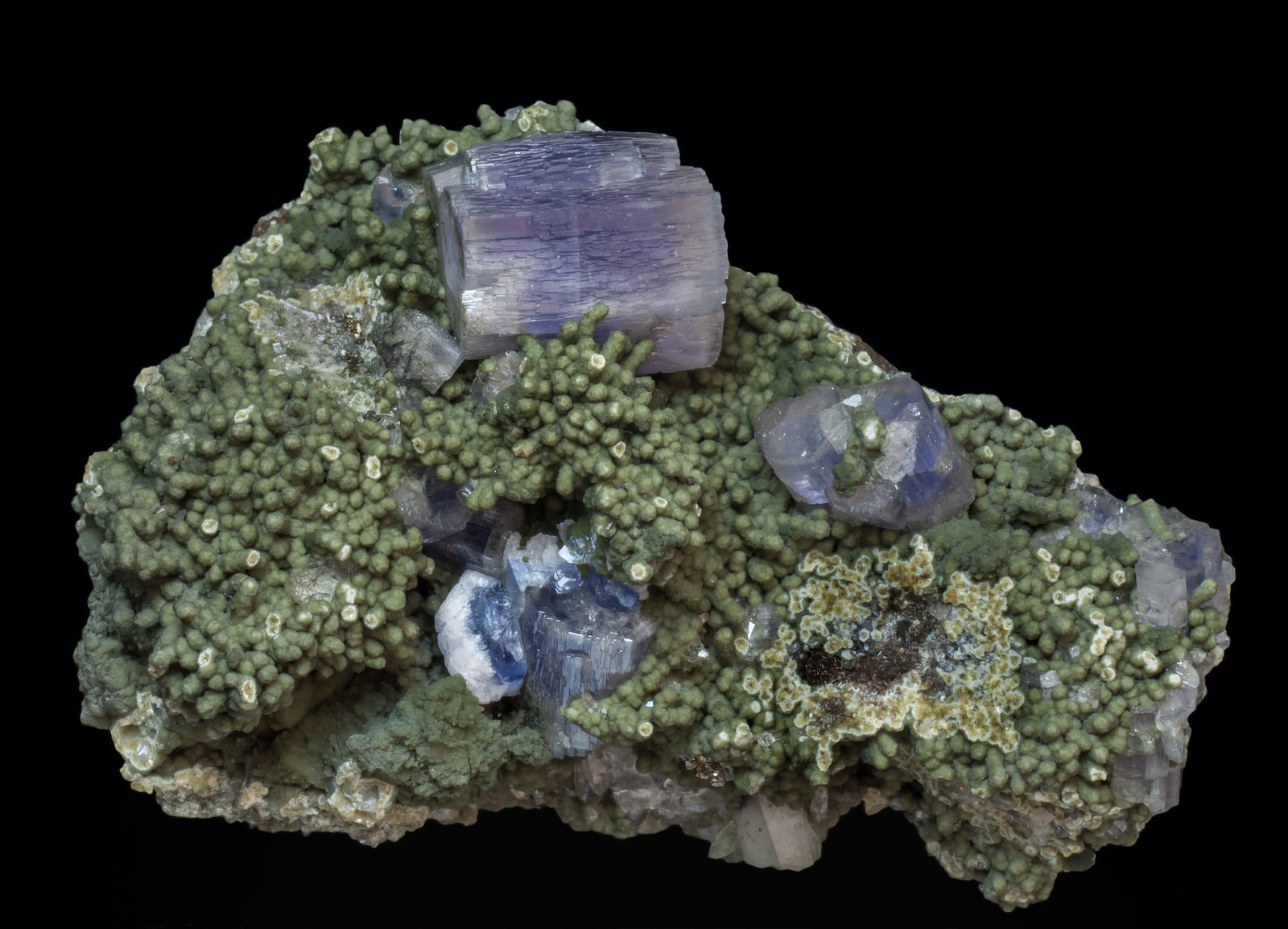 specimens/s_imagesAJ5/Fluorapatite-NG91AJ5f.jpg