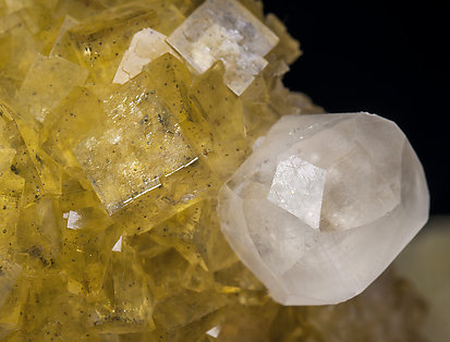 Fluorite with Calcite. 