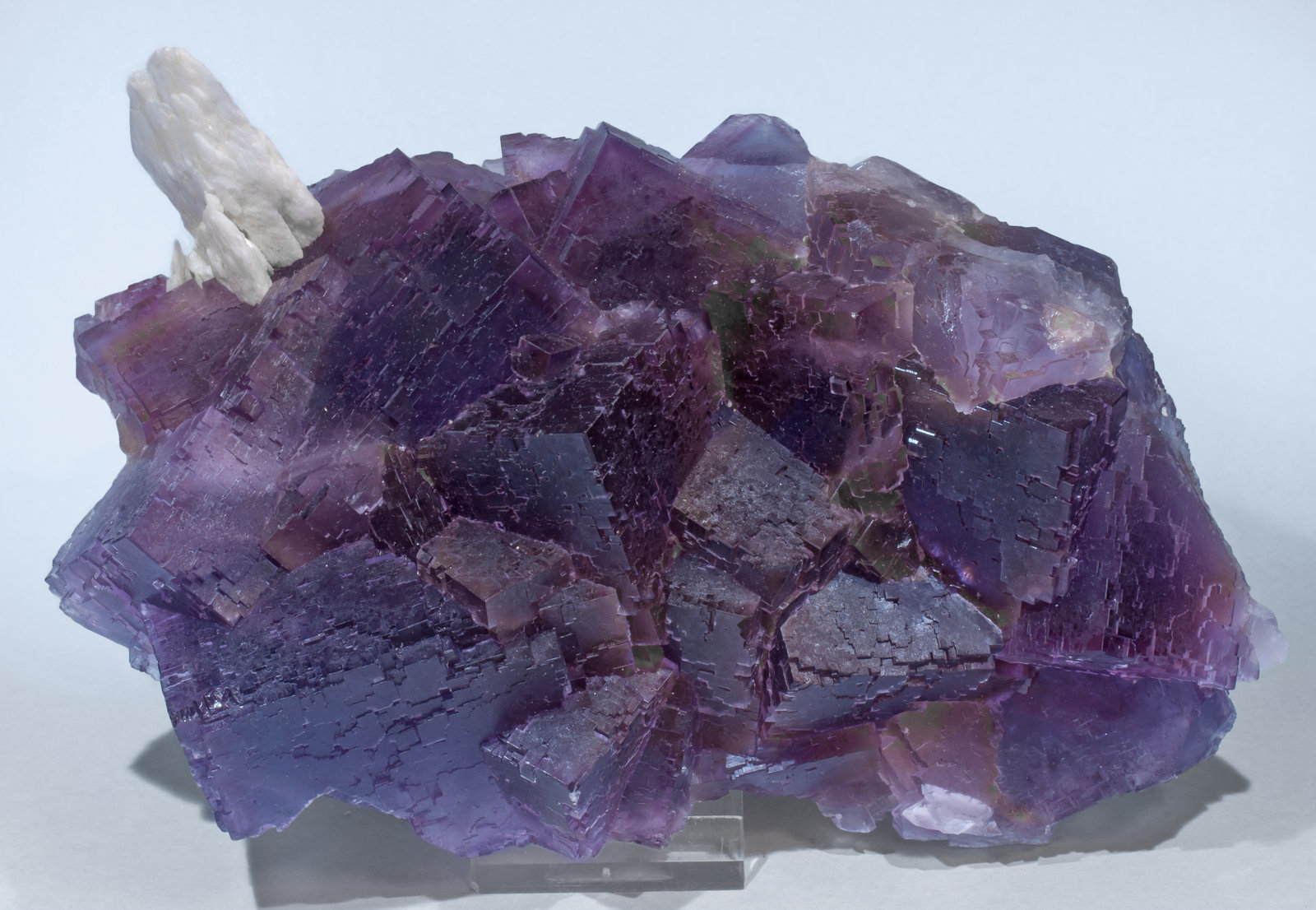 specimens/s_imagesAJ5/Fluorite-MT50AJ5f.jpg