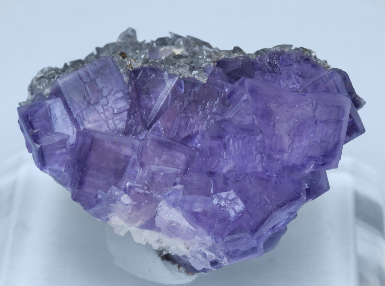 specimens/s_imagesAJ5/Fluorite-NH10AJ5f.jpg