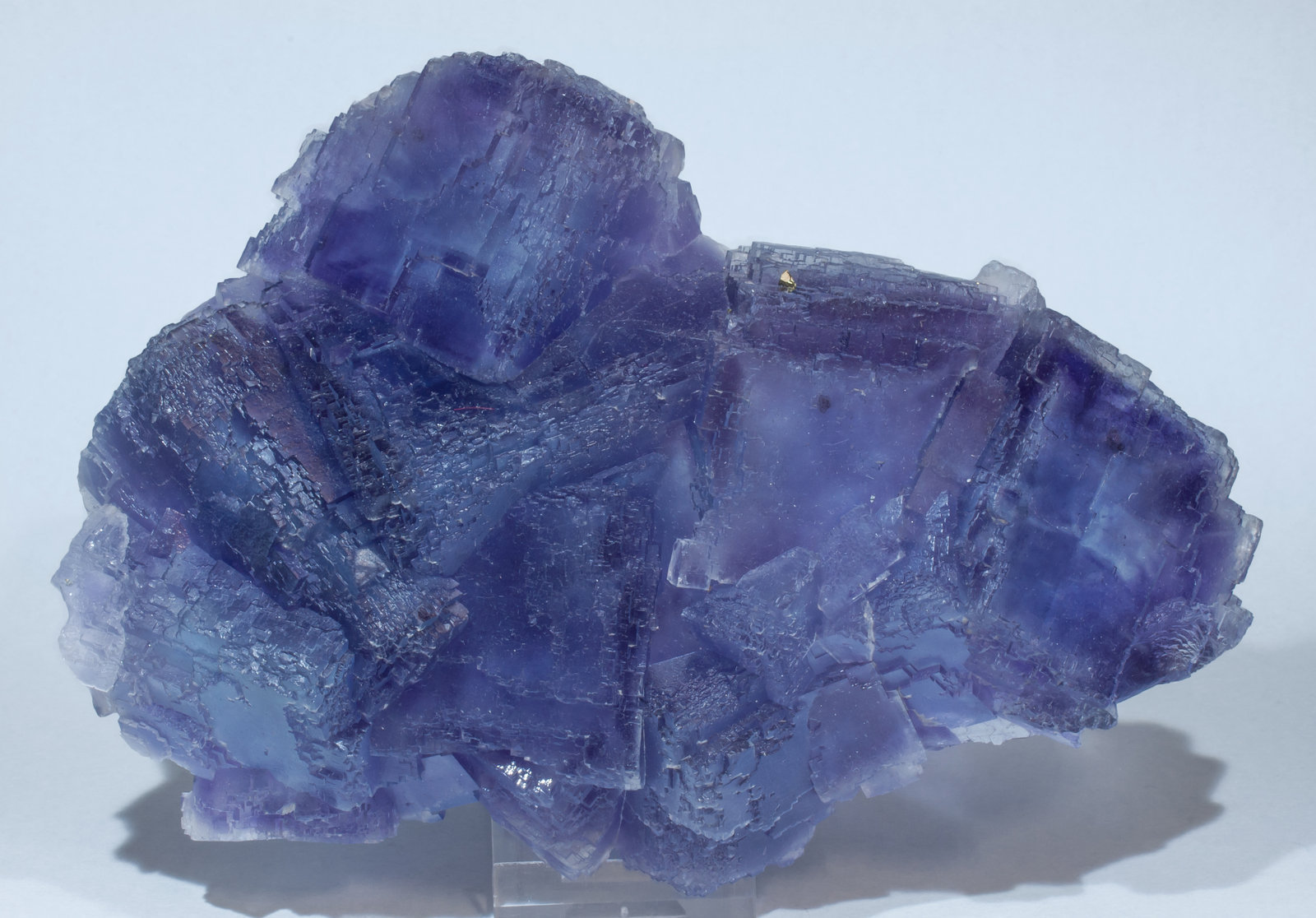 specimens/s_imagesAJ5/Fluorite-NQ86AJ5f1.jpg